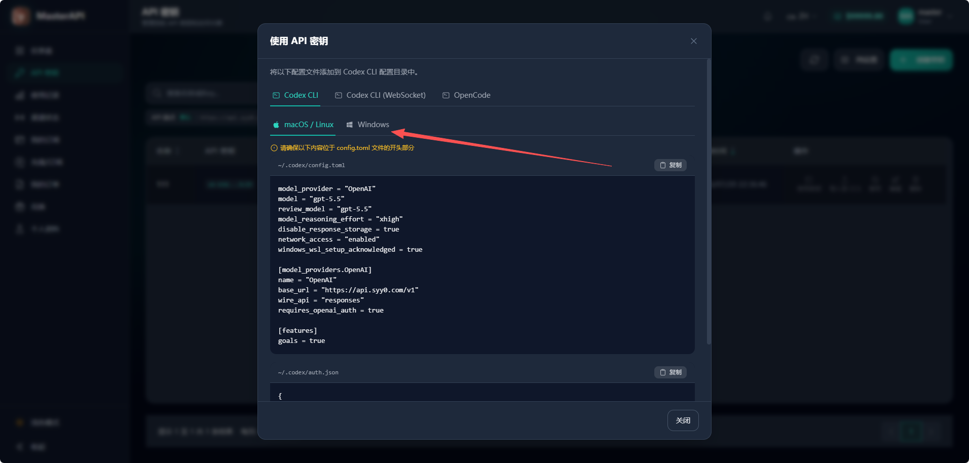 切换到 Codex CLI 的 Windows 配置